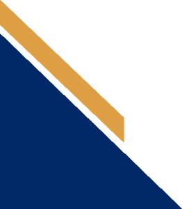 BridgeLumen